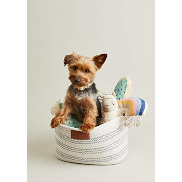 Eco-Friendly Harry Barker Cotton Rope Toy Bin for Storage