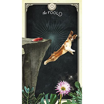 The Tarot of Curious Creatures | Whimsical 78 Card Deck