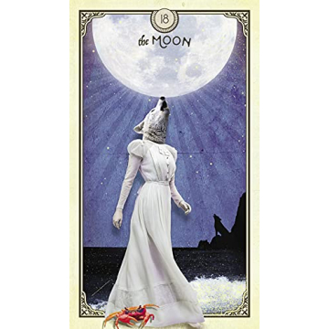 The Tarot of Curious Creatures | Whimsical 78 Card Deck