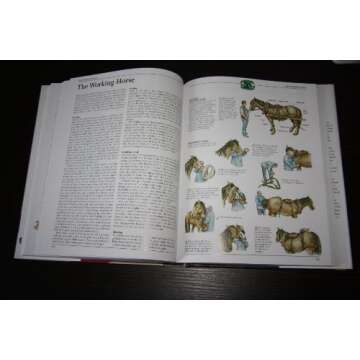 The New Complete Book of Self-Sufficiency