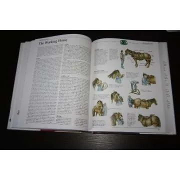 The New Complete Book of Self-Sufficiency