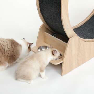 5-in-1 Cat Wheel for Indoor Cats - Silent & Stylish Exercise
