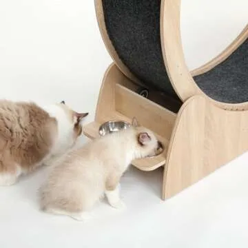 5-in-1 Cat Wheel for Indoor Cats - Silent & Stylish Exercise