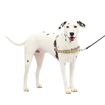 PetSafe Easy Walk Dog Harness for Effortless Walks