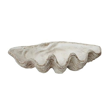 Creative Co-Op White Magnesia Seashell Decoration - Stunning Table Centerpiece