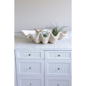 Creative Co-Op White Seashell Decoration for Table