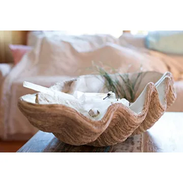 Creative Co-Op White Seashell Decoration for Table