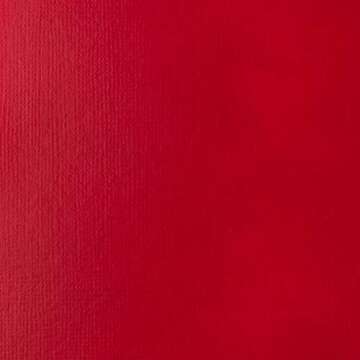 Liquitex BASICS Acrylic Paint, 118ml (4-oz) Tube, Primary Red