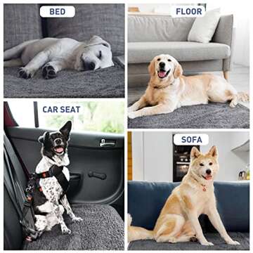 Kritter Planet Waterproof Dog Blanket for Pets and Furniture