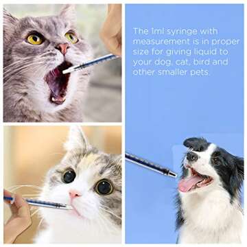 LUTER 12Pcs 1ml Plastic Syringes, No Needle Plastic Syringe with Measurement for Scientific Labs Experiment, Dispensing, Measuring Liquids, Watering, Feeding Pets, Oil or Glue Applicator