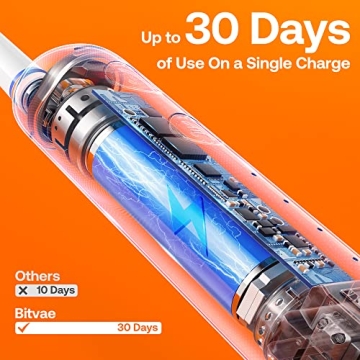 Bitvae R2 Electric Toothbrush with 8 Replacement Heads and Travel Case