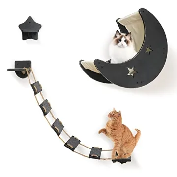 Cat Hammock Cat Wall Shelves, Mordern Cat Wall Furniture Cat Moon Bed with 1 Climbing Bridge and 1 Stair Step, Cat Furniture Set with Cat Bed Cat Walker Bridge Shelf, Gift for Cat (Black)