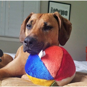 Fluff & Tuff Beach Ball - Durable 7" Dog Toy
