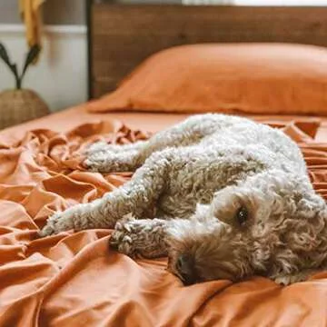 PeachSkinSheets Pumpkin Spice Set - Soft Cooling Sheets