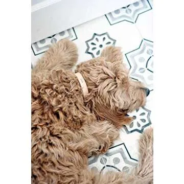 Stylish Handmade Personalized Leather Dog Collar