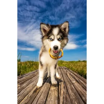 N-Bone Puppy Teething Rings Chicken Flavor for Happy Dogs