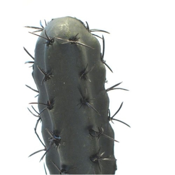 Exo Terra Finger Cactus Plant for Terrarium - Durable & Realistic