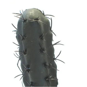 Exo Terra Finger Cactus Plant for Terrarium - Durable & Realistic