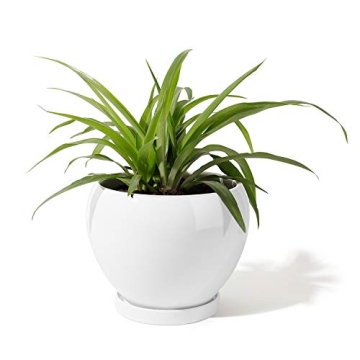 Stylish POTEY Ceramic Plant Pot for Indoor Plants