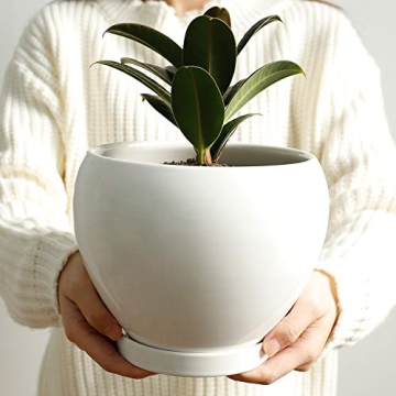 Stylish POTEY Ceramic Plant Pot for Indoor Plants