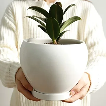 Stylish POTEY Ceramic Plant Pot for Indoor Plants