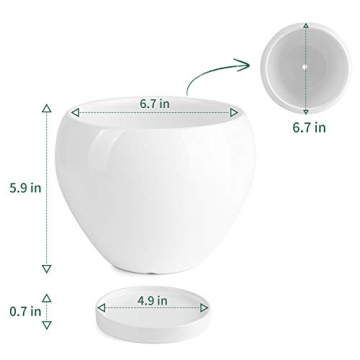 Stylish POTEY Ceramic Plant Pot for Indoor Plants