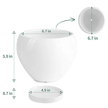 Stylish POTEY Ceramic Plant Pot for Indoor Plants