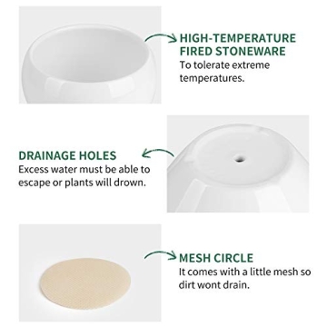 Stylish POTEY Ceramic Plant Pot for Indoor Plants