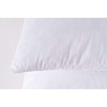 HOMESJUN Set of 2, Feather and Down Square Decorative Throw Pillow Insert, Cotton Cover, 18x18 Inch