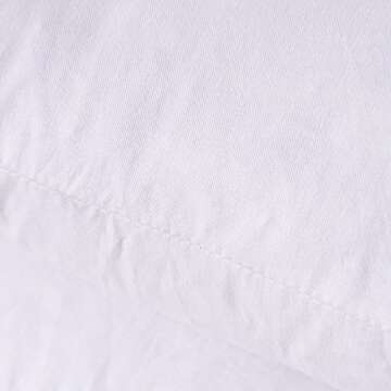 HOMESJUN Set of 2, Feather and Down Square Decorative Throw Pillow Insert, Cotton Cover, 18x18 Inch