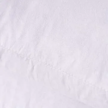 HOMESJUN Set of 2, Feather and Down Square Decorative Throw Pillow Insert, Cotton Cover, 18x18 Inch