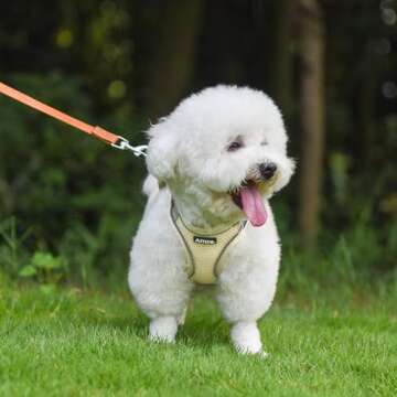 AIITLE Adjustable Reflective Dog Harness with Matching Leash for Small Dogs and Cats