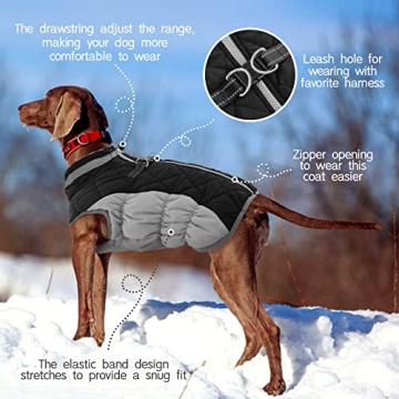 Reflective Warm Dog Coat with Built-in Harness
