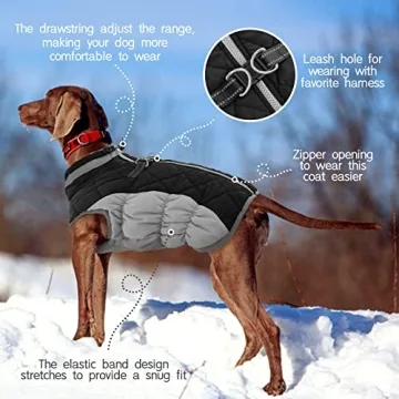 Reflective Warm Dog Coat with Built-in Harness