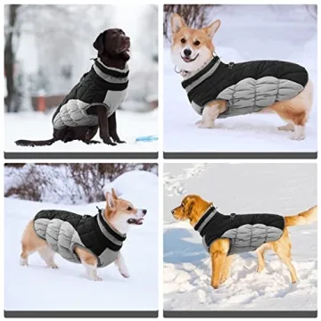 Reflective Warm Dog Coat with Built-in Harness