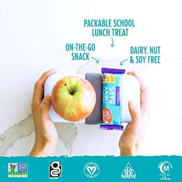 Enjoy Life Cocoa Loco Chewy Bars, Nut, Soy, Dairy, Gluten Free, Non GMO, 6 Boxes (30 Bars Total)