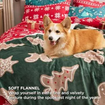 Cozy & Warm Bedsure Christmas Throw Blanket for All