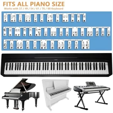 Piano Key Stickers for All Keyboards - Easy Learning