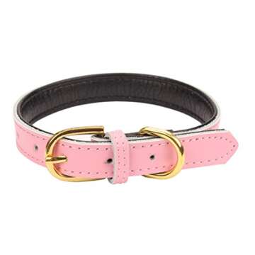 Aolove Basic Classic Padded Leather Pet Collars for Cats Puppy Small Medium Dogs (Pink, Medium)