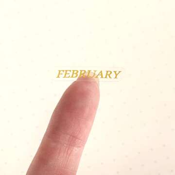 Multibey A5 Binder Dividers with Vertical Tabs and Sticker Labels, 6-Ring A5 Plastic Binder Index Dividers Translucent Set of 5 (1 Set of Vertical Tabs + Tab Stickers)