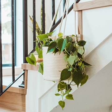 OrganiHaus Set of 2 Hanging Baskets for Indoor Plants