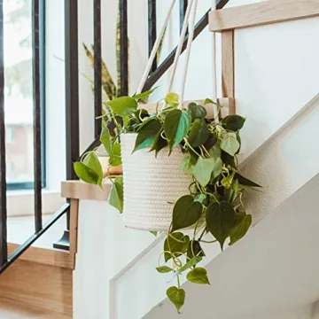 OrganiHaus Set of 2 Hanging Baskets for Indoor Plants