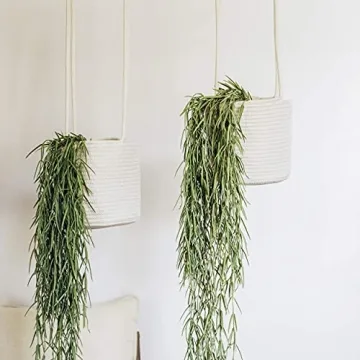 OrganiHaus Set of 2 Hanging Baskets for Indoor Plants