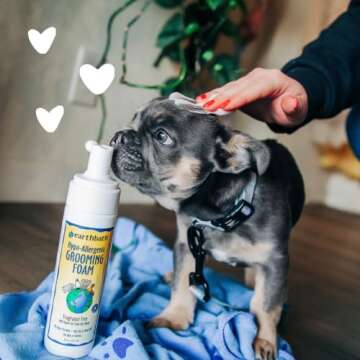 earthbath All Natural No-Rinse Dog Grooming Foam 8 Oz