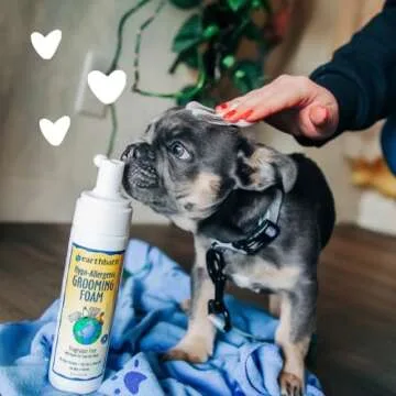 earthbath All Natural No-Rinse Dog Grooming Foam 8 Oz