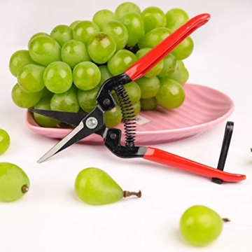 Zog Carbon Steel Gardening Shears for All Your Pruning Needs