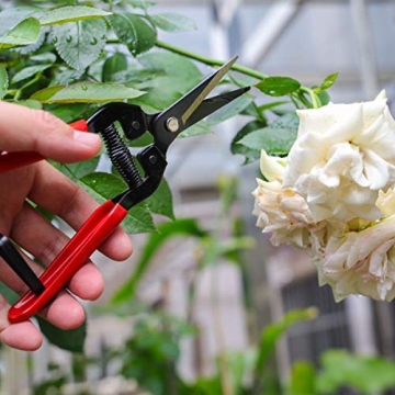Zog Carbon Steel Gardening Shears for All Your Pruning Needs