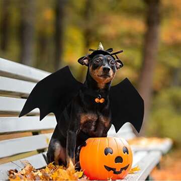 PetLoft Cat Costume Bat Wings, Cat Halloween Costume with 2 Pumpkin Bells Adjustable for Cat and Small Dog, XS