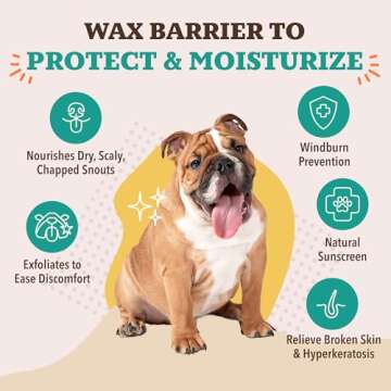 Natural Dog Company Snout Soother Balm (0.15 onz) for Dry, Cracked Noses, All-Natural, Lick-Safe, Soothing Nose Balm with Moisturizing Butter, Winter Nose Protection Dogs