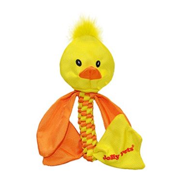 Jolly Pets Flathead Tug/Squeak Toy for Medium Dogs